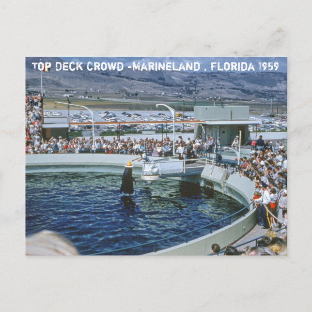 Vintag Marineland Florida Postkarte (Vorderseite)