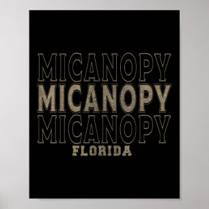 Vintag Micanopy Florida Poster