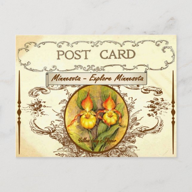 Vintag Minnesota Staat Blume Postkarte (Vorderseite)