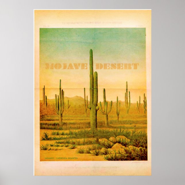 Vintag Mojave Wüste Travel Poster (Vorne)
