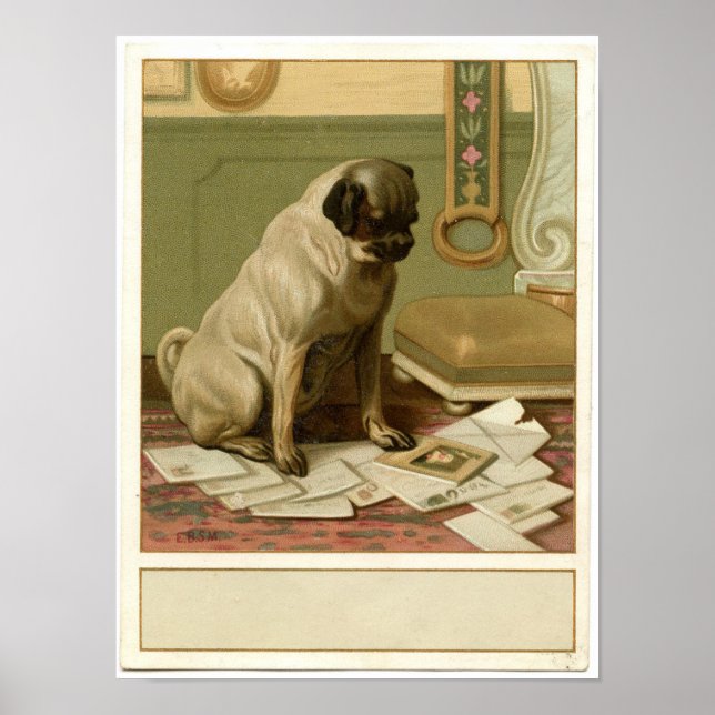Vintag Mops Poster (Vorne)