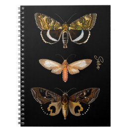 Vintag Moth Butterfly Personalisiertes Notebook Notizblock
