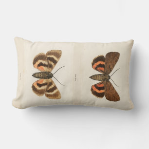 Vintag Moth Lendenkissen