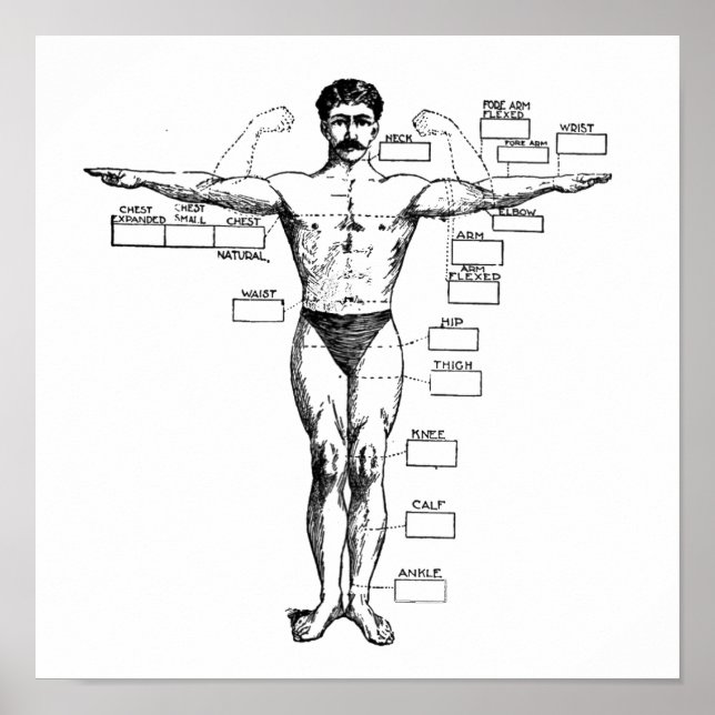 Vintag Muscleman von 1905 Poster (Vorne)