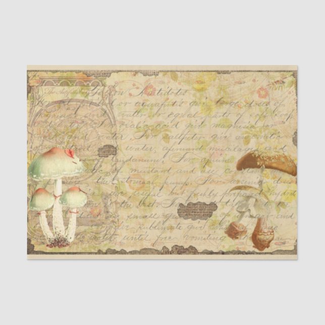 Vintag Mushroom Ephemera Design Serie 4 Seidenpapier (Vorderseite)