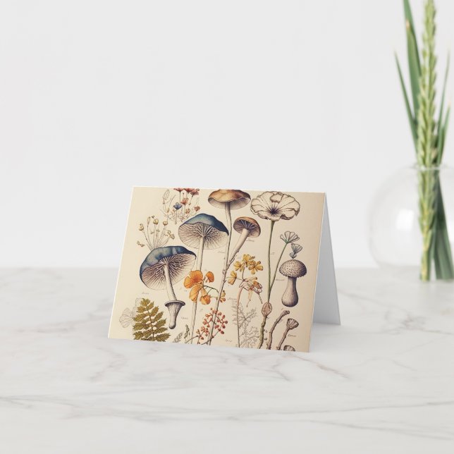 Vintag Mushroom Naturalist Dankeskarte (Vorderseite)