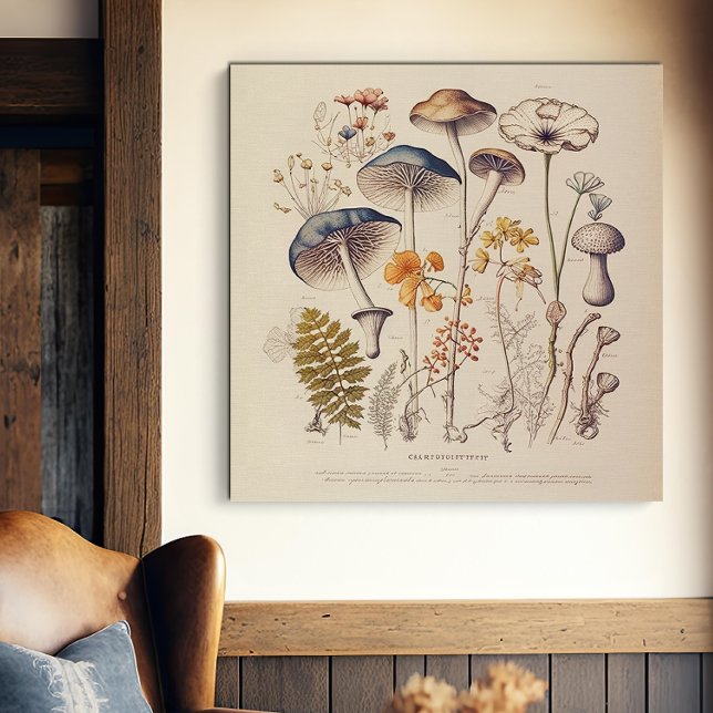 Vintag Mushroom Naturalist Leinwanddruck (Von Creator hochgeladen)