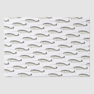 Vintag Narwhal Narwhale Zeichne #3 Seidenpapier