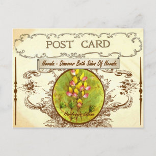 Vintag Nevada Staat Blume Postkarte