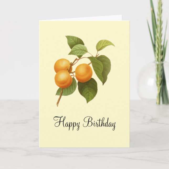 Vintag Orange Apricots Aquarell Geburtstag Karte (Vorderseite)
