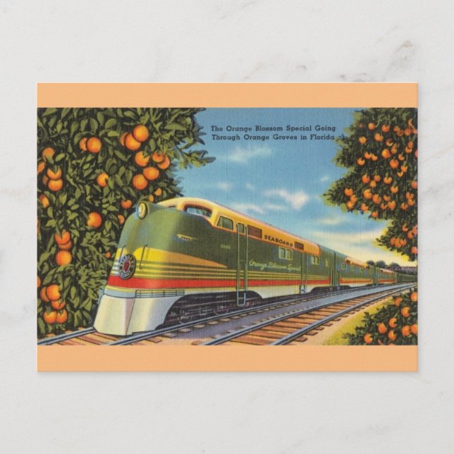 Vintag Orange Blossom Sonderzug FL Postkarte (Vorderseite)