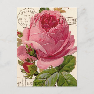 Vintag PARIS POSTMARKS DEWWY ROSE Postkarte