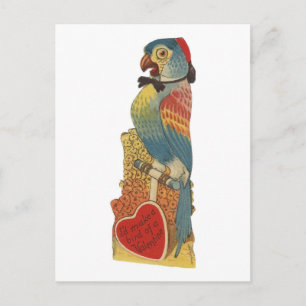 Vintag Parrot Valentine Feiertagspostkarte