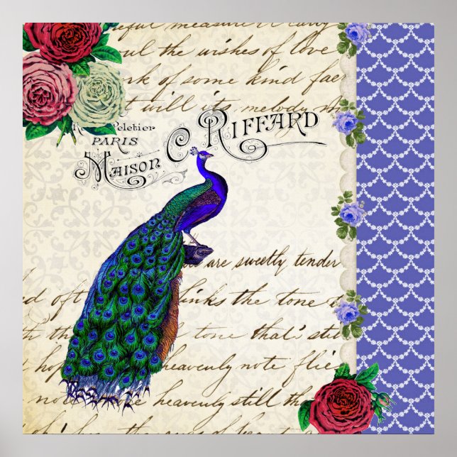 Vintag Peacock Collage Art Poster (Vorne)