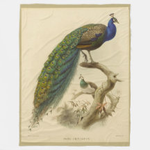 Vintag Peacock Fleece Blanket