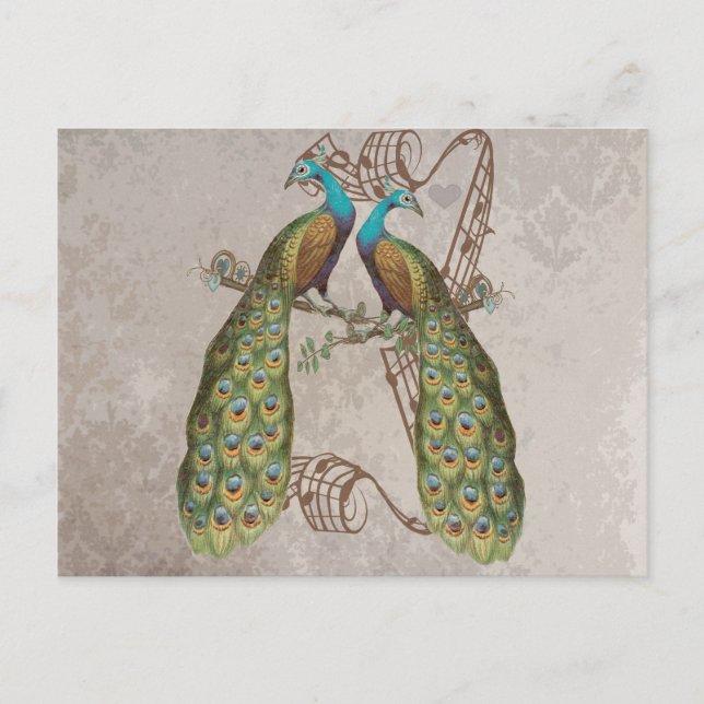 Vintag Peacock Grunge Damask Lounge Vögel Postkarte (Vorderseite)