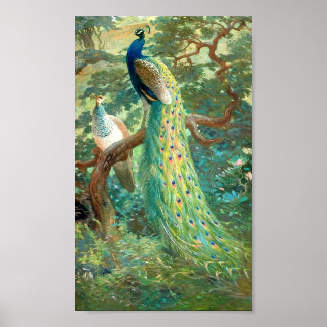 Vintag Peacock Image Poster (Vorne)