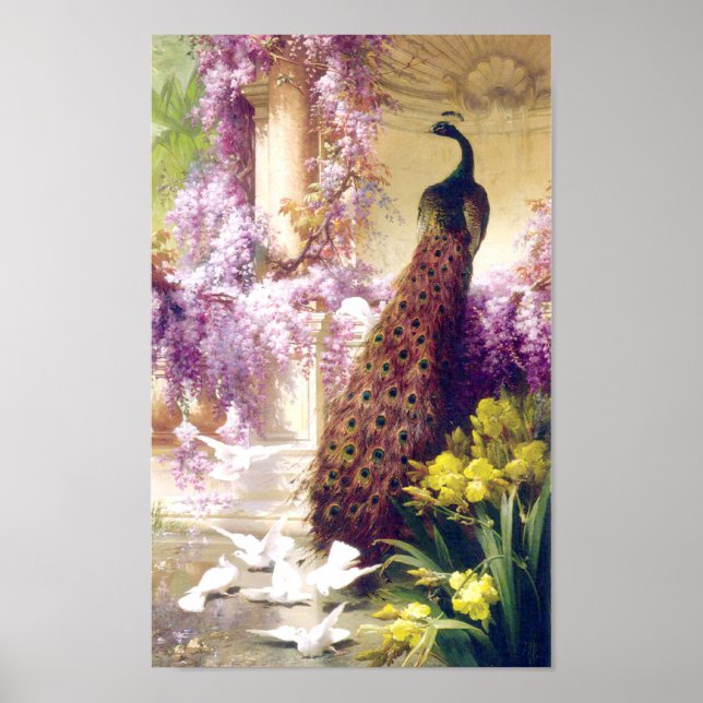 Vintag Peacock Image Poster (Vorne)
