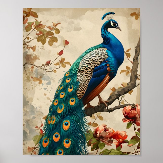 Vintag Peacock Splendor Poster (Vorne)