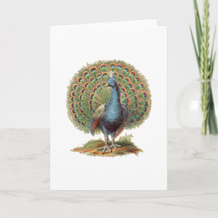 Vintag Pfau...notecard Karte