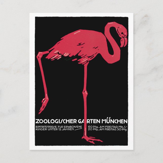 Vintag Pink Flamingo München Zoo Postkarte (Vorderseite)