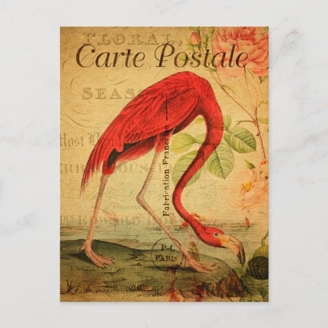 Vintag Pink flamingo Postkarte (Vorderseite)