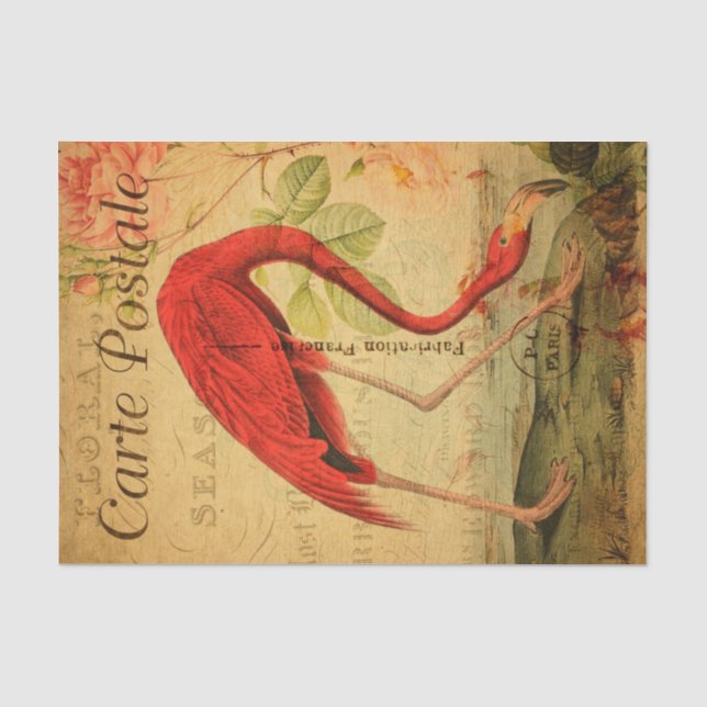 Vintag Pink flamingo Seidenpapier (Vorderseite)