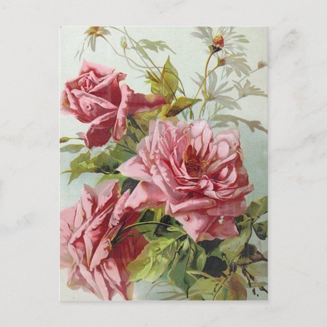 Vintag Pink Roses Bouquet Postkarte (Vorderseite)