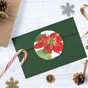 Vintag Poinsettia Botanisch Runder Aufkleber