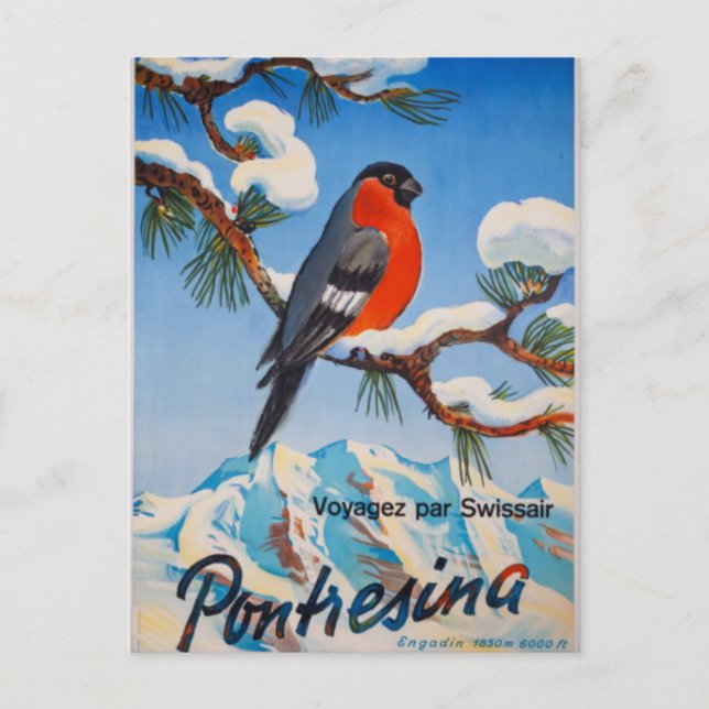 Vintag Pontresina Vacation Schweiz Tourismus Postkarte (Vorderseite)