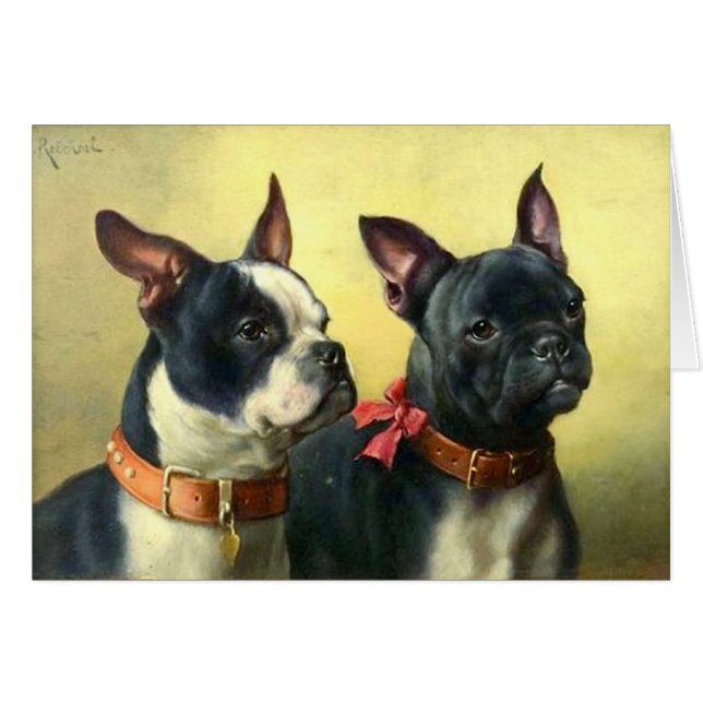 Vintag - Porträt der Boston-Terrier-Hunde, (Vorderseite (Horizontal))