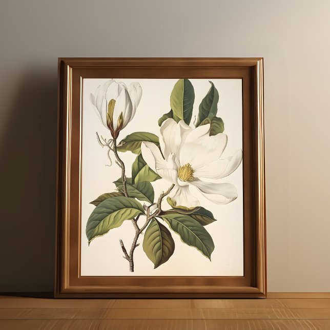 Vintag Poster (Vintage white flower print is shown in a wooden frame.)