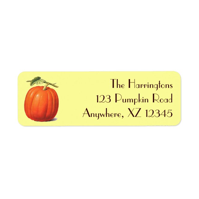 Vintag Pumpkin (Vorne)