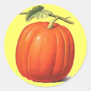 Vintag Pumpkin Runder Aufkleber