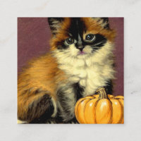 Vintag Ragdoll Halloween Cat