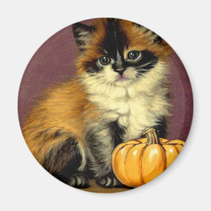 Vintag Ragdoll Halloween Cat Magnet