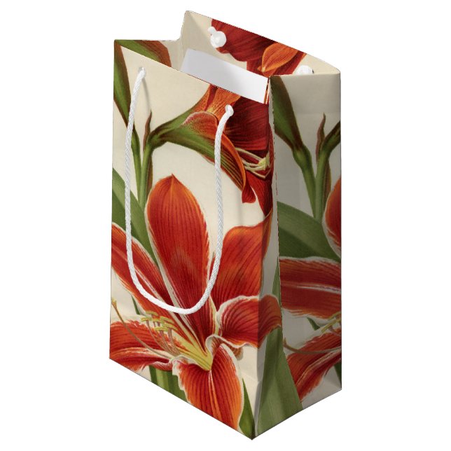 Vintag Red Amaryllis Blume Weihnachtsgeschenktasch Kleine Geschenktüte (Vorderseite Schrägansicht)