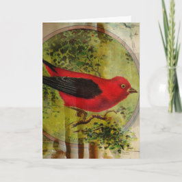 Vintag Red Bird Karte