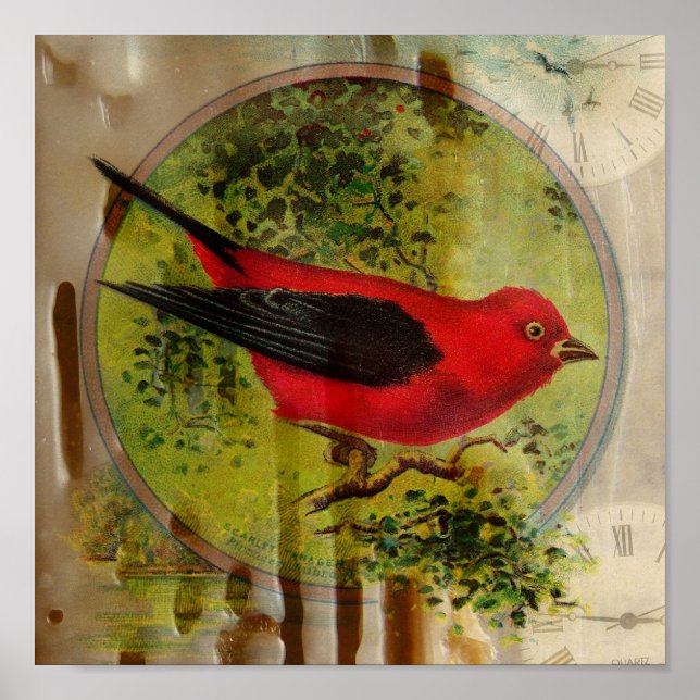 Vintag Red Bird Poster (Vorne)