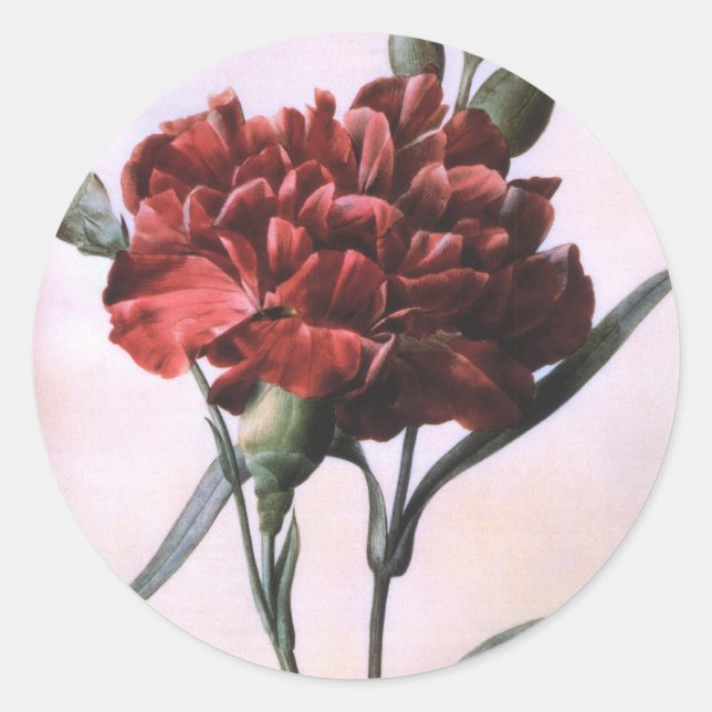 Vintag Red Carnation Runder Aufkleber (Vorderseite)