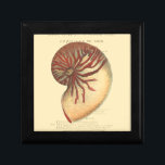 Vintag Red Conch Muschel Erinnerungskiste<br><div class="desc">In diesem lebendigen Bild können Sie in Vintagem natürlichen und einzigartigen Stil der roten Conch-Muschel nah sehen. Diese einzigartige Art von Kunst hat schwarz und rot Schatten,  um die Spirale dieser conchischen Muschel zu betonen. Holen Sie sich diese Conch-Muschel mit einem sepia Hintergrund auf Ihrem Produkt heute.</div>