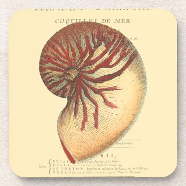 Vintag Red Conch Muschel Getränkeuntersetzer (Vorderseite)