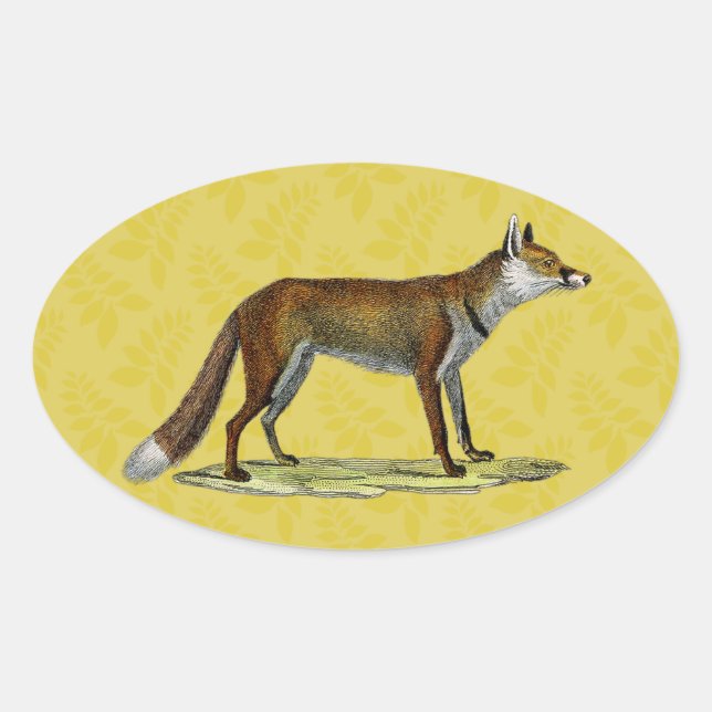 Vintag Red Fox Ovaler Aufkleber (Vorderseite)