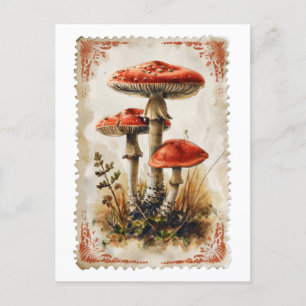 Vintag Red Mushroom Postcard Postkarte