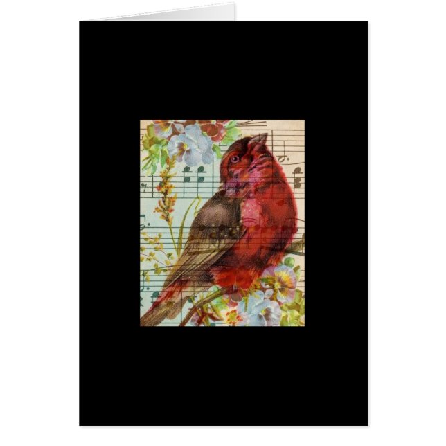 Vintag Redbird Collage (Vorne)