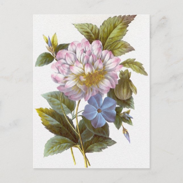 Vintag Redoute Blume Bouquet Postkarte (Vorderseite)