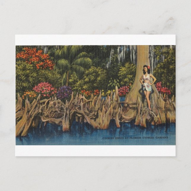 Vintag Retro Florida Cypress Gardens Postkarte (Vorderseite)