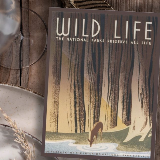 Vintag Retro Grand Wild Life Nationalpark Postkarte (Von Creator hochgeladen)