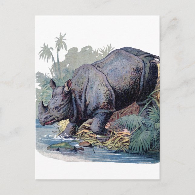 Vintag Rhino Postkarte (Vorderseite)