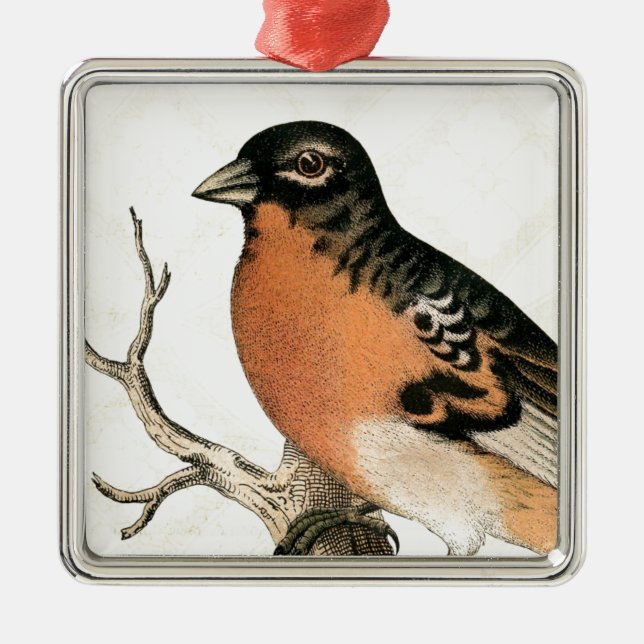 Vintag Robin Silbernes Ornament (Vorne)